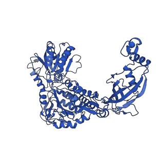 9873_6jql_E_v1-2
Structure of PaaZ, a bifunctional enzyme