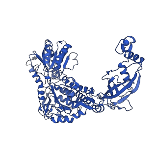 9873_6jql_E_v1-3
Structure of PaaZ, a bifunctional enzyme