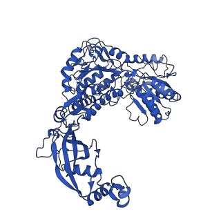 9874_6jqm_A_v1-2
Structure of PaaZ with NADPH