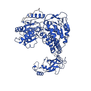 9874_6jqm_B_v1-2
Structure of PaaZ with NADPH
