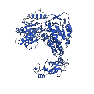 9874_6jqm_B_v1-3
Structure of PaaZ with NADPH