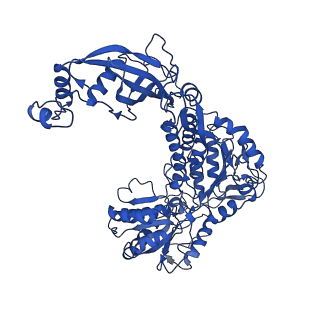 9874_6jqm_C_v1-2
Structure of PaaZ with NADPH
