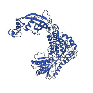 9874_6jqm_C_v1-3
Structure of PaaZ with NADPH