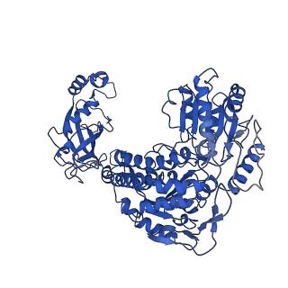 9874_6jqm_D_v1-2
Structure of PaaZ with NADPH