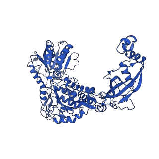 9874_6jqm_E_v1-2
Structure of PaaZ with NADPH