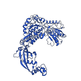 9875_6jqn_A_v1-2
Structure of PaaZ, a bifunctional enzyme in complex with NADP+ and OCoA