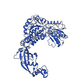 9875_6jqn_A_v1-3
Structure of PaaZ, a bifunctional enzyme in complex with NADP+ and OCoA