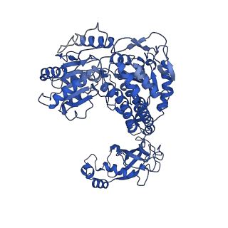 9875_6jqn_B_v1-2
Structure of PaaZ, a bifunctional enzyme in complex with NADP+ and OCoA