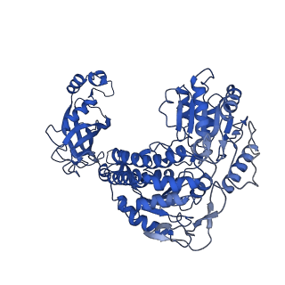 9875_6jqn_C_v1-2
Structure of PaaZ, a bifunctional enzyme in complex with NADP+ and OCoA