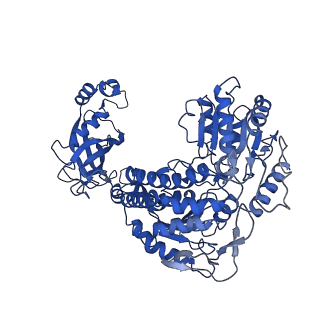 9875_6jqn_C_v1-3
Structure of PaaZ, a bifunctional enzyme in complex with NADP+ and OCoA