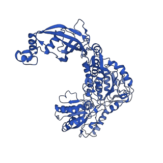 9875_6jqn_D_v1-2
Structure of PaaZ, a bifunctional enzyme in complex with NADP+ and OCoA