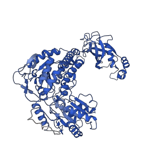 9875_6jqn_E_v1-2
Structure of PaaZ, a bifunctional enzyme in complex with NADP+ and OCoA