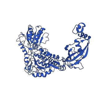 9875_6jqn_F_v1-2
Structure of PaaZ, a bifunctional enzyme in complex with NADP+ and OCoA