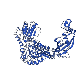 9875_6jqn_F_v1-3
Structure of PaaZ, a bifunctional enzyme in complex with NADP+ and OCoA