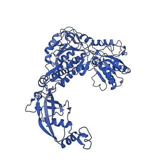 9876_6jqo_A_v1-1
Structure of PaaZ, a bifunctional enzyme in complex with NADP+ and CCoA
