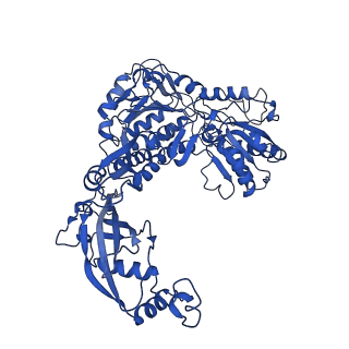 9876_6jqo_A_v1-2
Structure of PaaZ, a bifunctional enzyme in complex with NADP+ and CCoA