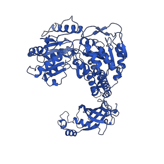 9876_6jqo_B_v1-1
Structure of PaaZ, a bifunctional enzyme in complex with NADP+ and CCoA