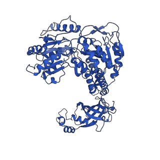 9876_6jqo_B_v1-2
Structure of PaaZ, a bifunctional enzyme in complex with NADP+ and CCoA