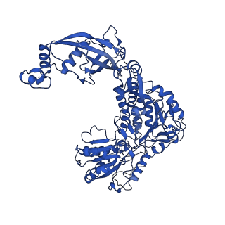 9876_6jqo_C_v1-1
Structure of PaaZ, a bifunctional enzyme in complex with NADP+ and CCoA
