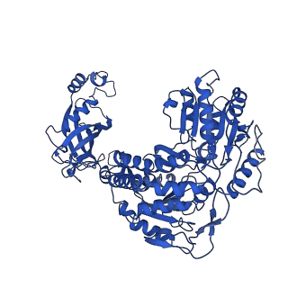 9876_6jqo_D_v1-1
Structure of PaaZ, a bifunctional enzyme in complex with NADP+ and CCoA