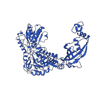 9876_6jqo_E_v1-1
Structure of PaaZ, a bifunctional enzyme in complex with NADP+ and CCoA