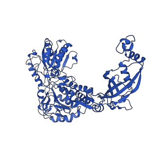 9876_6jqo_E_v1-2
Structure of PaaZ, a bifunctional enzyme in complex with NADP+ and CCoA