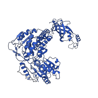 9876_6jqo_F_v1-1
Structure of PaaZ, a bifunctional enzyme in complex with NADP+ and CCoA