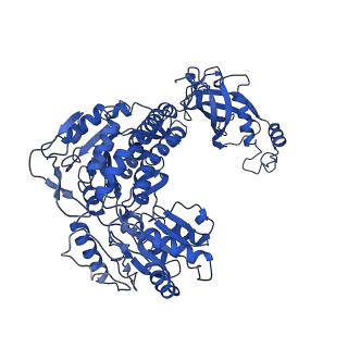 9876_6jqo_F_v1-2
Structure of PaaZ, a bifunctional enzyme in complex with NADP+ and CCoA