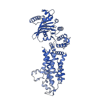 22443_7jr7_A_v1-1
Cryo-EM structure of ABCG5/G8 in complex with Fab 2E10 and 11F4