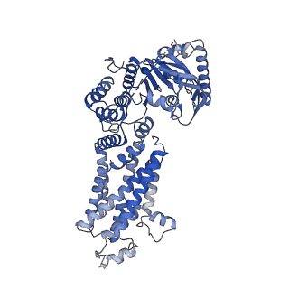 22443_7jr7_B_v1-1
Cryo-EM structure of ABCG5/G8 in complex with Fab 2E10 and 11F4
