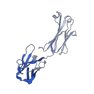 22443_7jr7_D_v1-1
Cryo-EM structure of ABCG5/G8 in complex with Fab 2E10 and 11F4