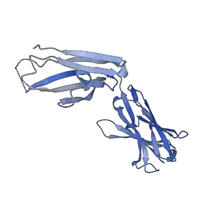 22443_7jr7_E_v1-1
Cryo-EM structure of ABCG5/G8 in complex with Fab 2E10 and 11F4