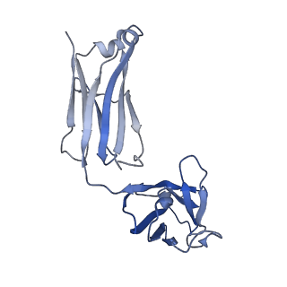 22443_7jr7_F_v1-1
Cryo-EM structure of ABCG5/G8 in complex with Fab 2E10 and 11F4
