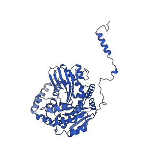 22445_7jrg_A_v1-1
Plant Mitochondrial complex III2 from Vigna radiata