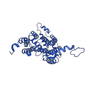 22445_7jrg_C_v1-1
Plant Mitochondrial complex III2 from Vigna radiata
