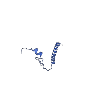 22445_7jrg_E_v1-1
Plant Mitochondrial complex III2 from Vigna radiata