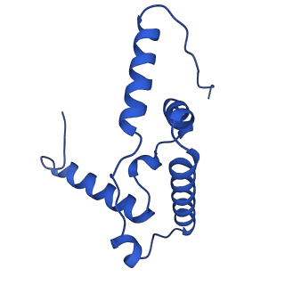 22445_7jrg_F_v1-1
Plant Mitochondrial complex III2 from Vigna radiata