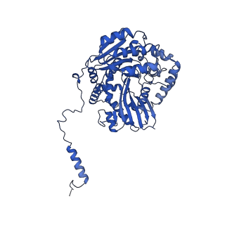 22445_7jrg_M_v1-1
Plant Mitochondrial complex III2 from Vigna radiata