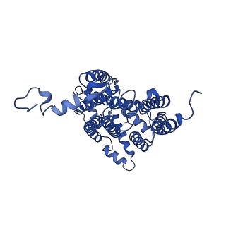 22445_7jrg_O_v1-1
Plant Mitochondrial complex III2 from Vigna radiata