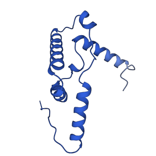 22445_7jrg_R_v1-1
Plant Mitochondrial complex III2 from Vigna radiata