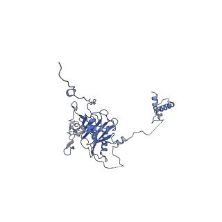 22446_7jrj_C_v1-2
Chlamydomonas reinhardtii radial spoke head and neck (recombinant)