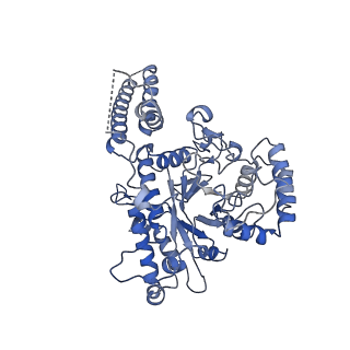 22446_7jrj_H_v1-2
Chlamydomonas reinhardtii radial spoke head and neck (recombinant)