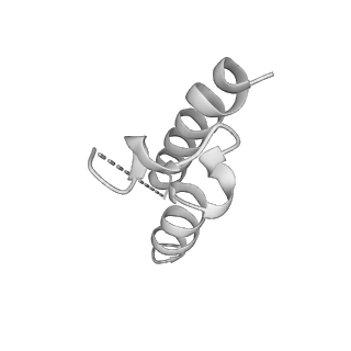 22446_7jrj_O_v1-2
Chlamydomonas reinhardtii radial spoke head and neck (recombinant)