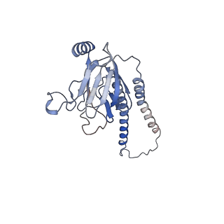 22447_7jro_b_v1-1
Plant Mitochondrial complex IV from Vigna radiata