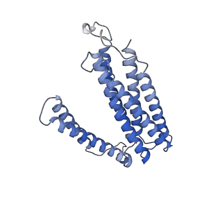 22447_7jro_c_v1-1
Plant Mitochondrial complex IV from Vigna radiata