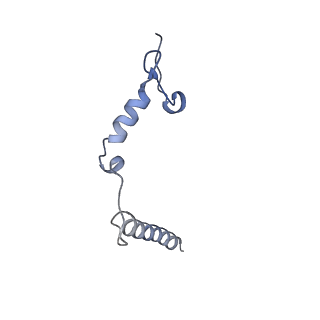 22447_7jro_d_v1-1
Plant Mitochondrial complex IV from Vigna radiata
