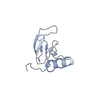 22447_7jro_e_v1-1
Plant Mitochondrial complex IV from Vigna radiata