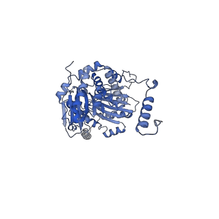 22448_7jrp_A_v1-1
Plant Mitochondrial complex SC III2+IV from Vigna radiata