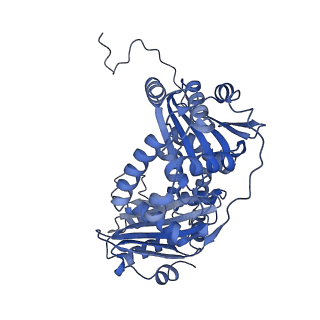 22448_7jrp_B_v1-1
Plant Mitochondrial complex SC III2+IV from Vigna radiata