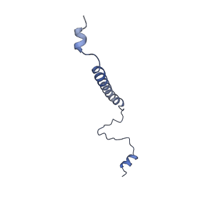 22448_7jrp_E_v1-1
Plant Mitochondrial complex SC III2+IV from Vigna radiata